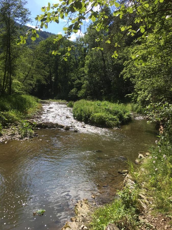 Ferienwohnung Raabklamm Arzberg 外观 照片